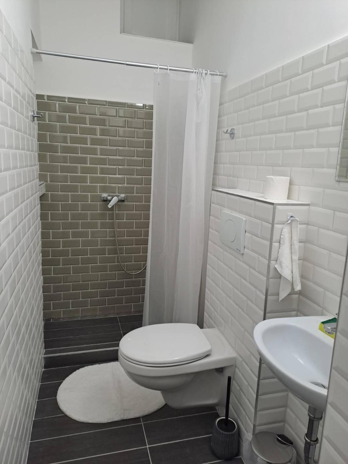 בודפשט Cute Downtown Apartment מראה חיצוני תמונה